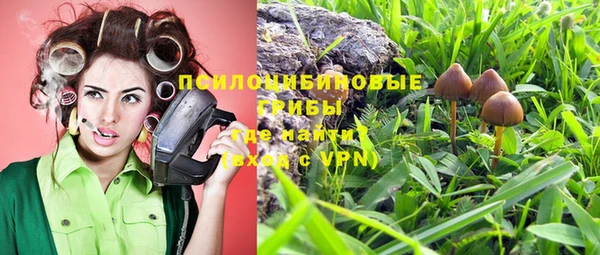 трава Бугульма