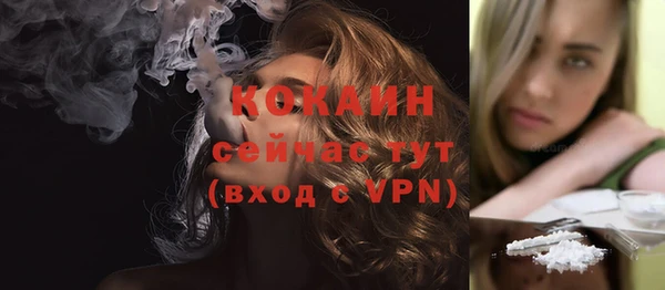 твердый Бронницы
