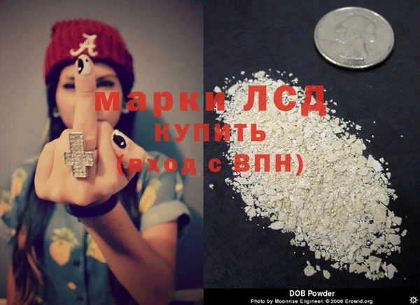 спиды Богданович