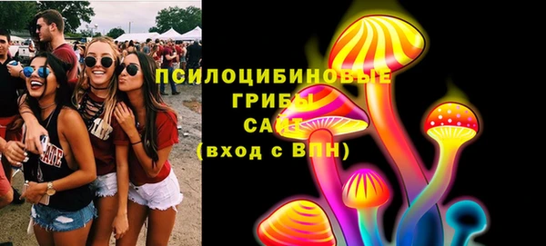 твердый Бронницы